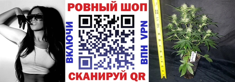 Где продают наркотики Валдай ГАШ Кокаин МЕФ LSD-25 Бошки Шишки Псилоцибиновые грибы