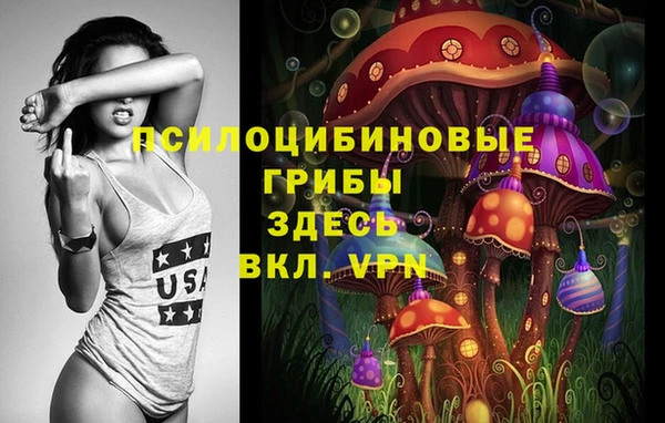 гашик Балахна
