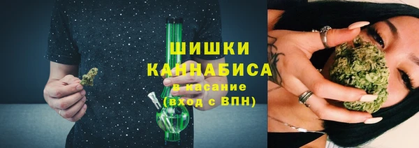 крисы Богданович