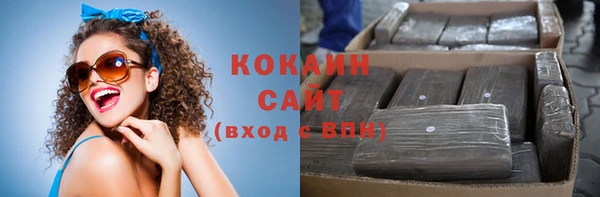 шишки Белоозёрский