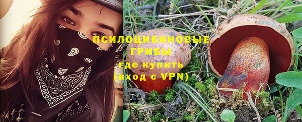 мдпв Богородицк