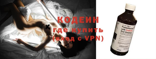 шишки Белоозёрский