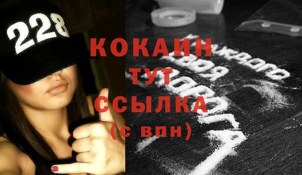 шишки Белоозёрский