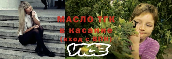 шишки Белоозёрский