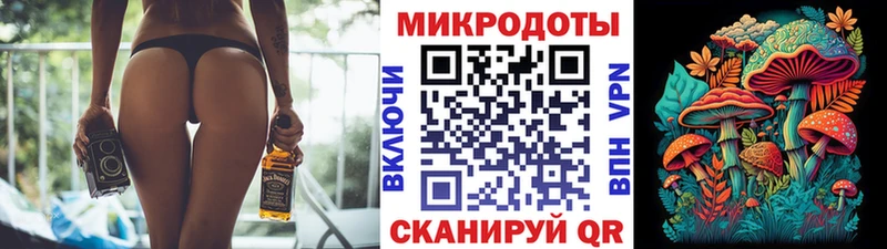 магазин продажи   Валдай  Галлюциногенные грибы Magic Shrooms 